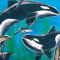 Vintage 'Dolphin' T-Shirt -Vintages Shop IMG 3209 bd007959 7964 4adc b362 d498bea9f61d