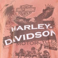 Harley Davidson 'Chambersburg' T-Shirt -Vintages Shop IMG 6989 4a7862ea 1eb6 4cb1 9daf fbef717a335c